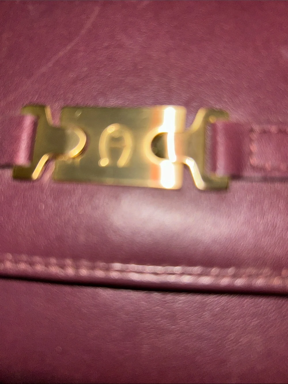 Etienne Aigner Plum Leather Clutch Wallet with Gold Tone Hardware